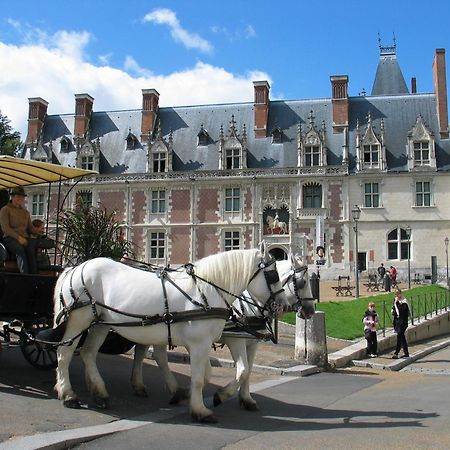 Blois City - Le Petit Saint Jean Eksteriør bilde